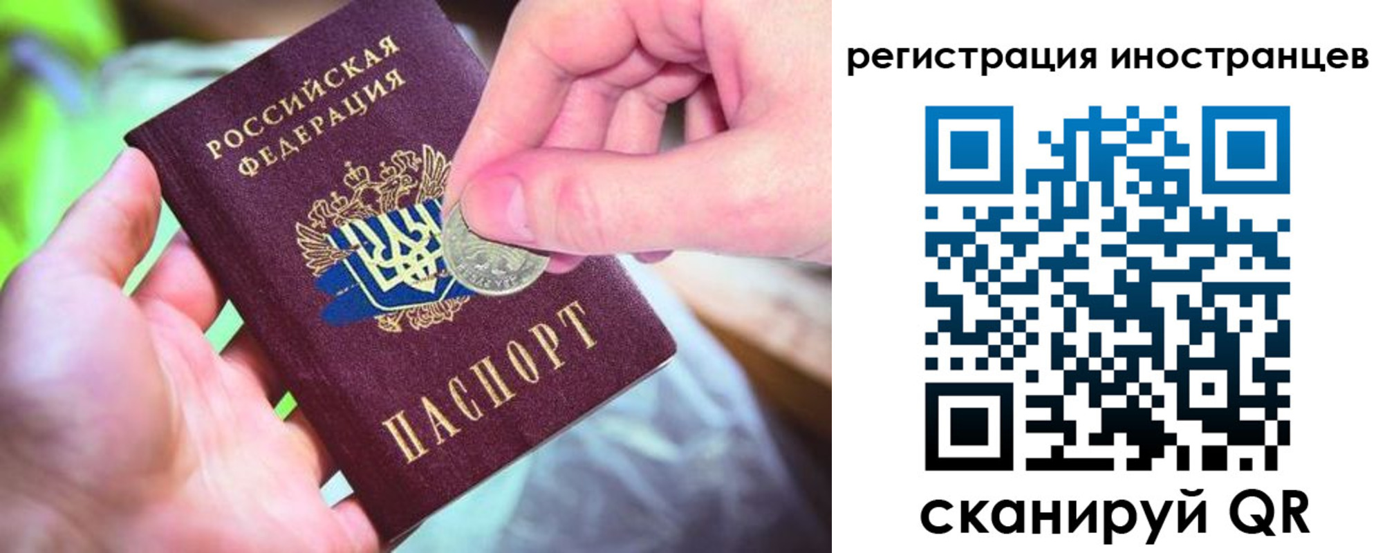 прописка для работы в Славгороде